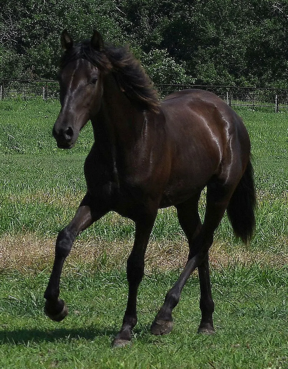 DSC_5807a